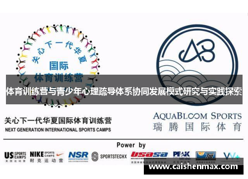体育训练营与青少年心理疏导体系协同发展模式研究与实践探索